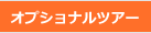 オプショナルツアー